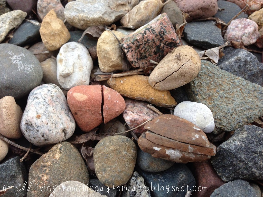 Nature Necklaces – terrain to treasure